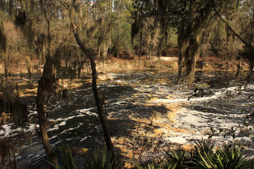 Big Shoals State Park