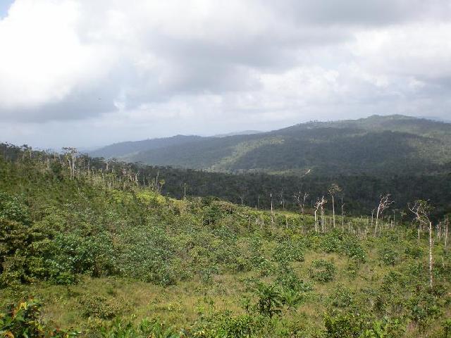 Cerro Azul, Panama