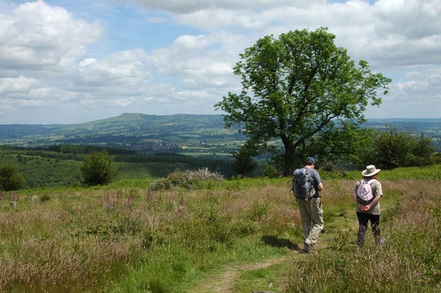 Mortimer Trail 