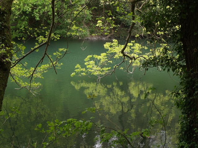 Woodchester Park