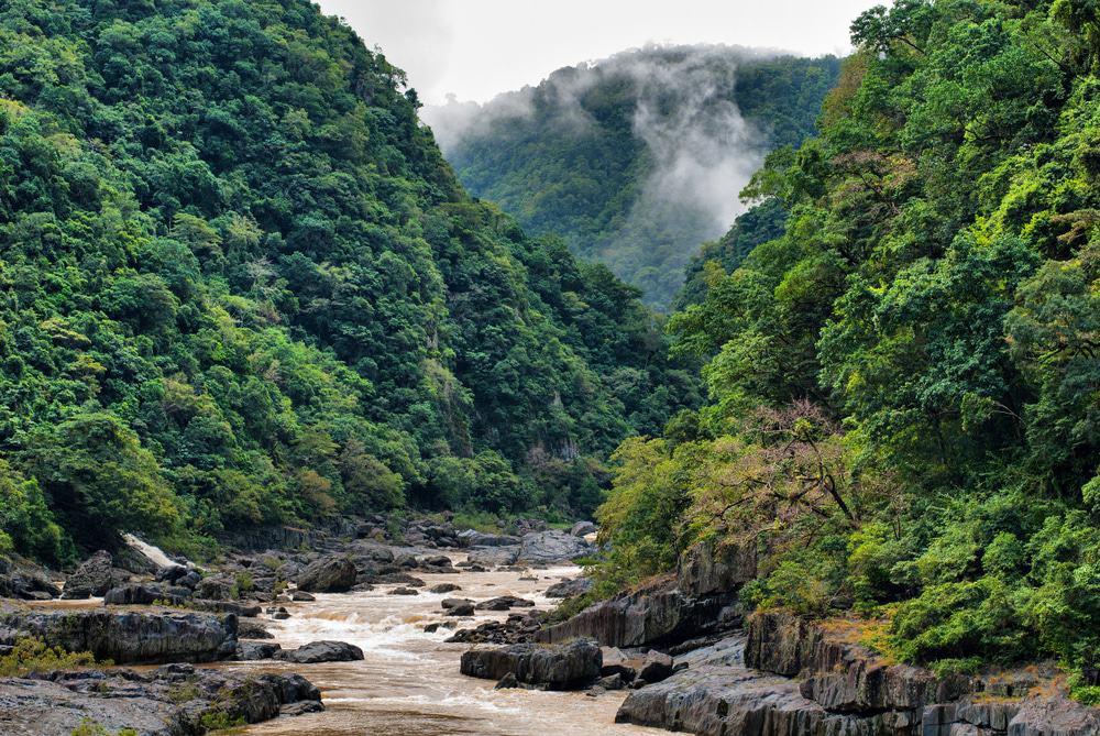 Barron River, Australia