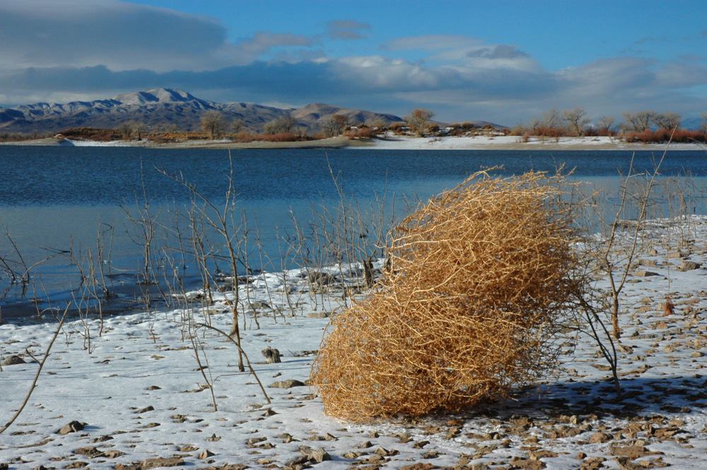 Lake Lahontan, Nevada