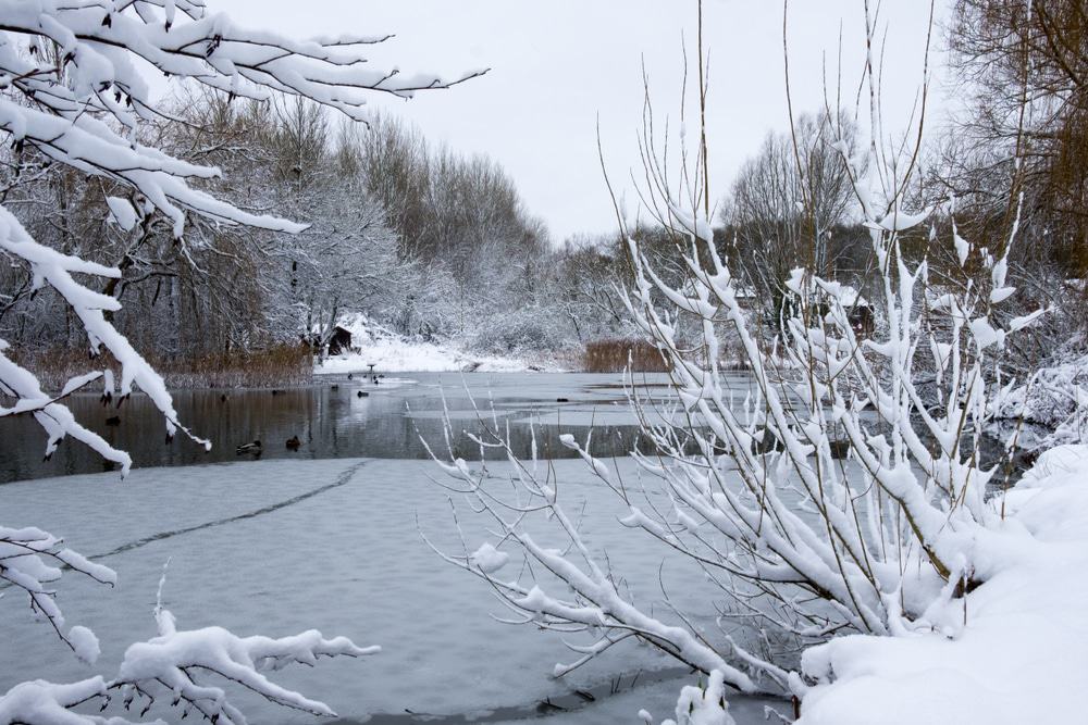 Telford Town Park