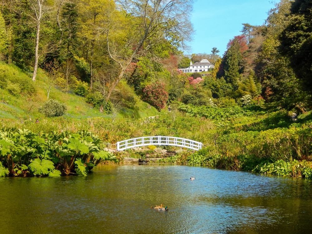 Trebah Garden