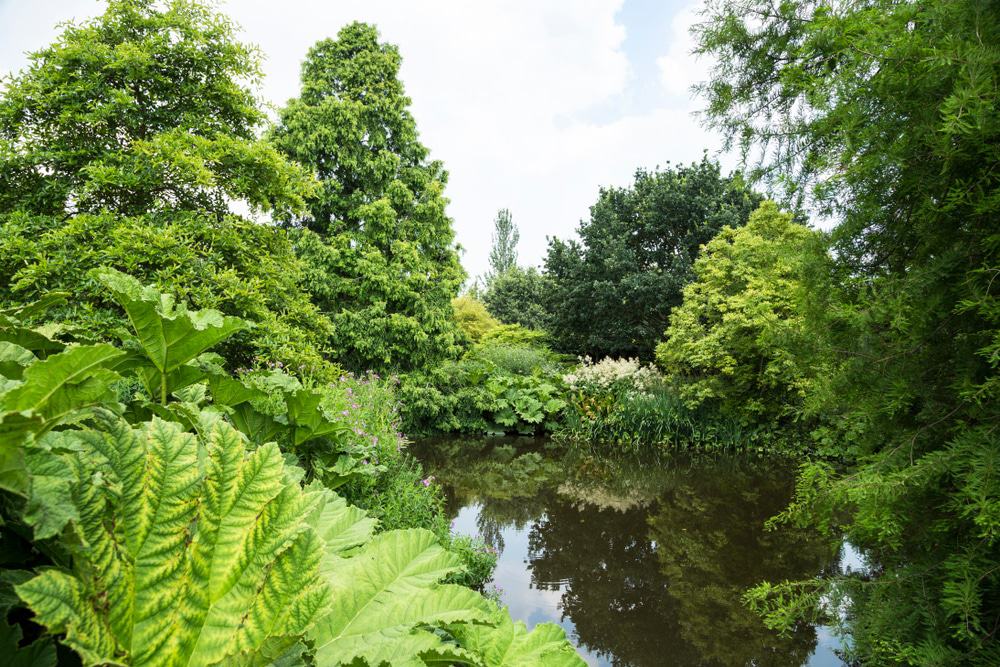 RHS Garden Hyde Hall