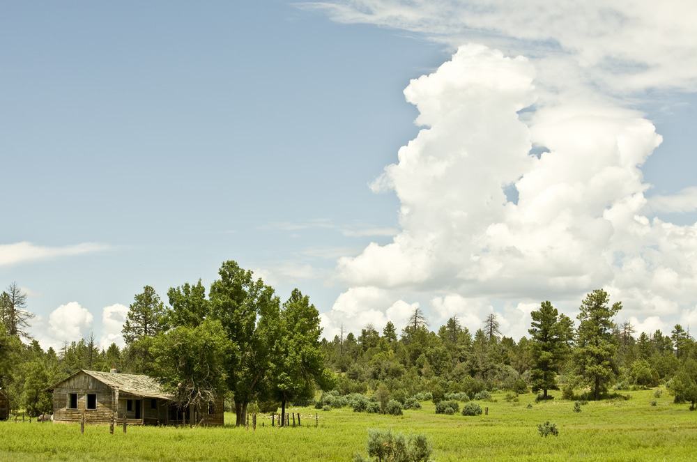 Apache Sitgreaves National Forest