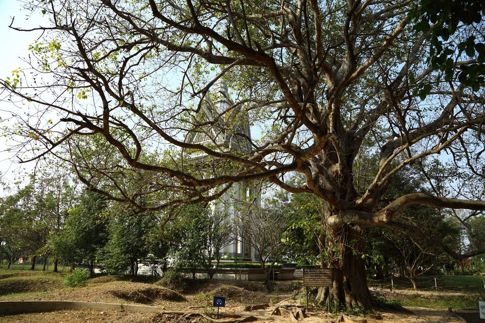 The Killing Fields, Phnom Penh