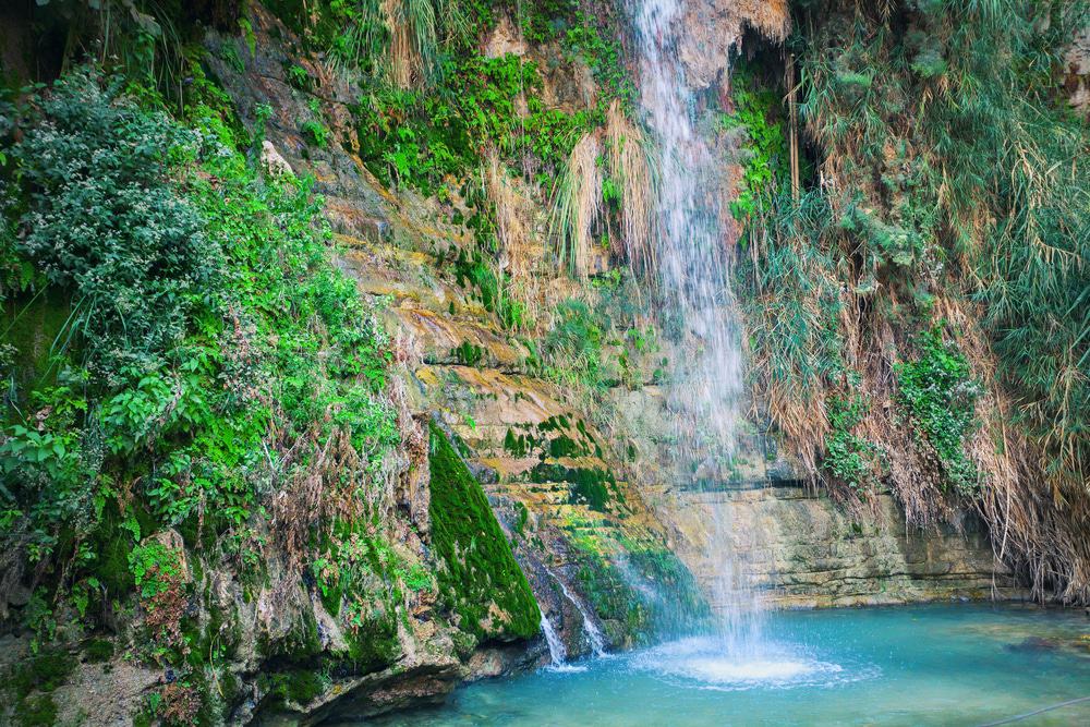 David's waterfall at Ein Gedi Nature Reserve. Israel