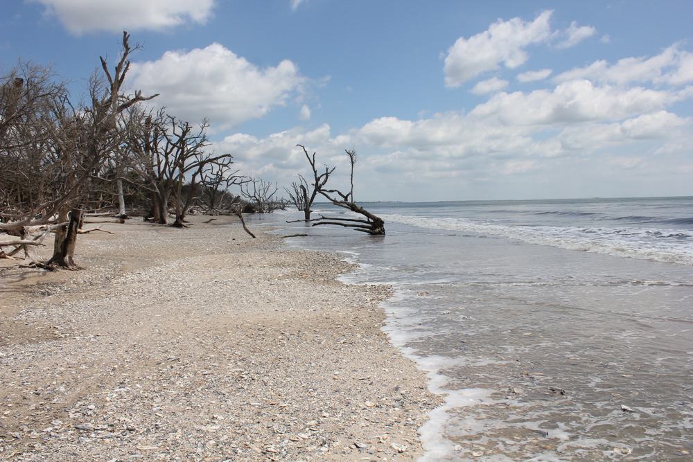 Edisto Beach, Charleston
