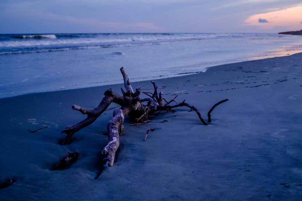 Seabrook Island, South Carolina