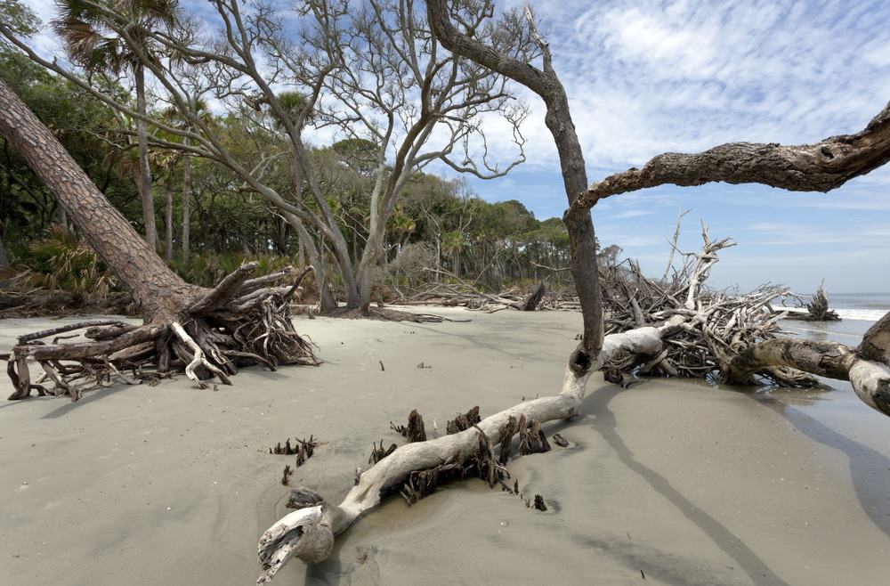 Hunting Island, South Carolina