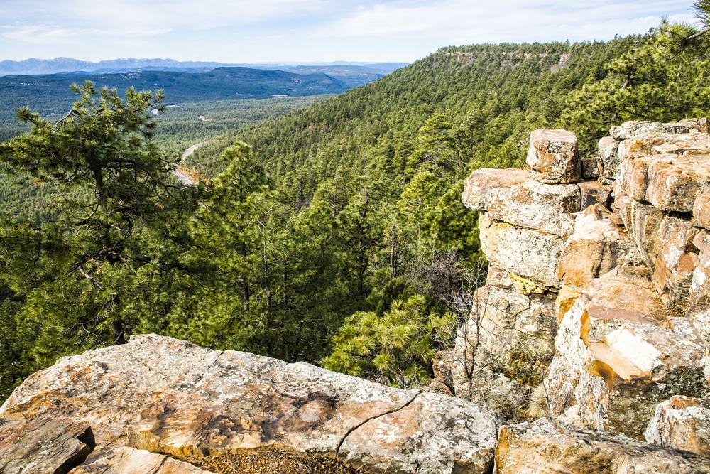 Mogollon Rim