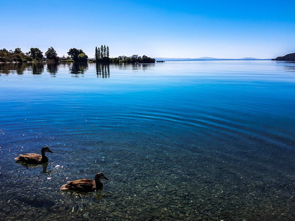 Taupo Lake, New Zealand
