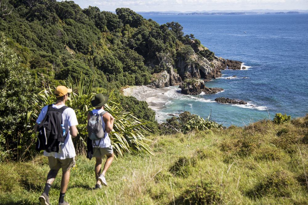 Tiritiri Matangi
