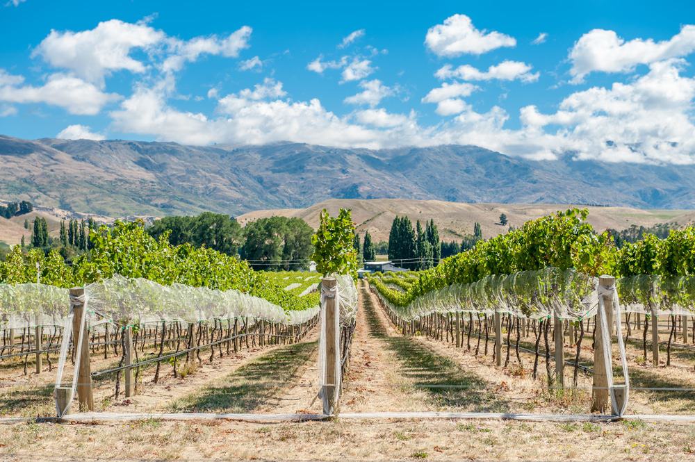 Central Otago, New Zealand