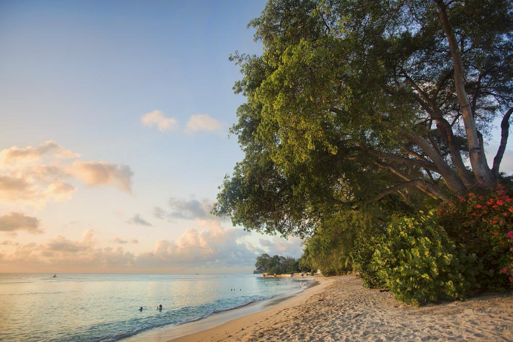 Gibbs Beach, Barbados