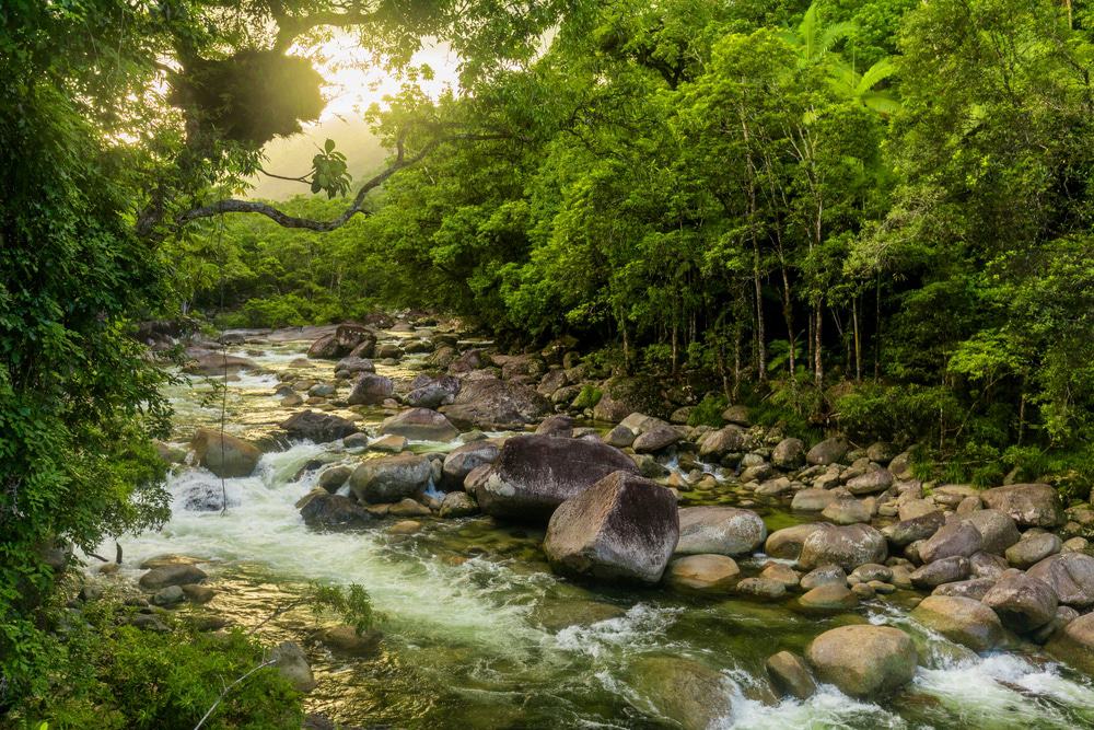 Mossman Gorge