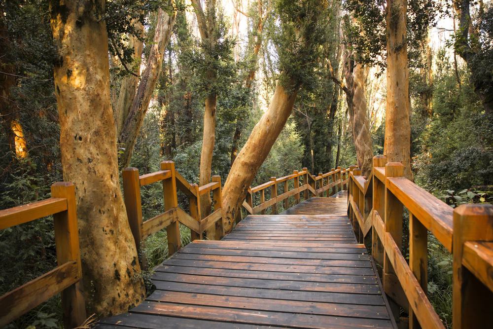 Parque Nacional Los Arrayanes