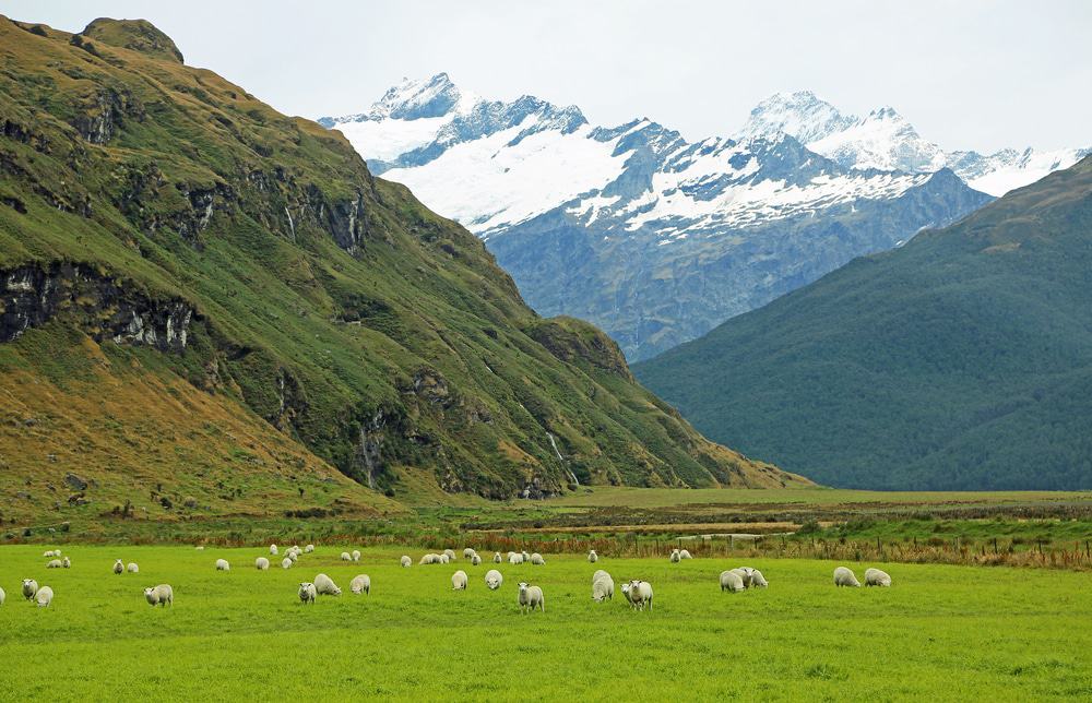 Mt Aspiring National Park, New Zealand