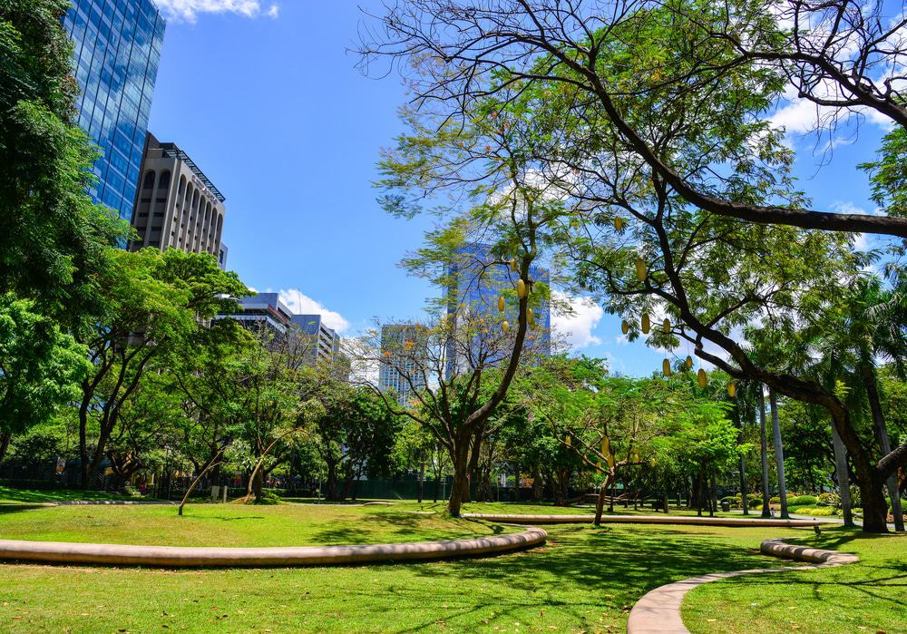 Ayala Triangle Gardens