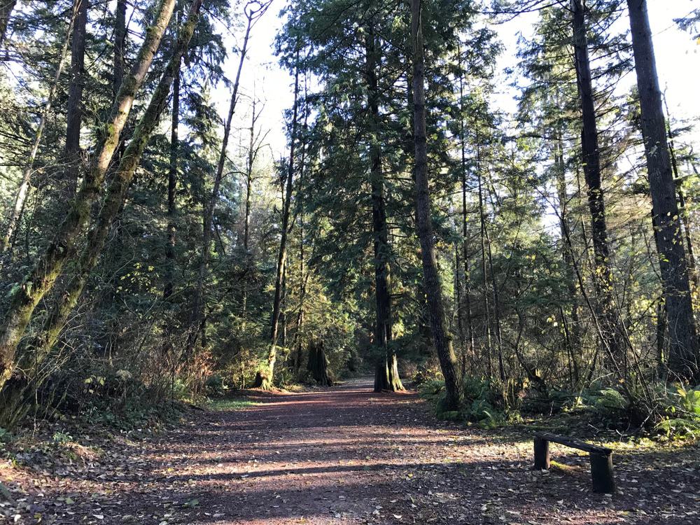 Mundy Park, Coquitlam