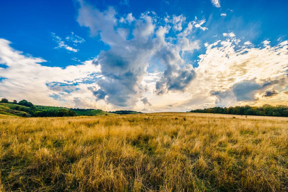 Barton Hills National Nature Reserve