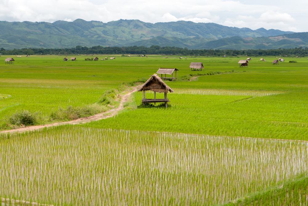 Luang Namtha Valley, Laos