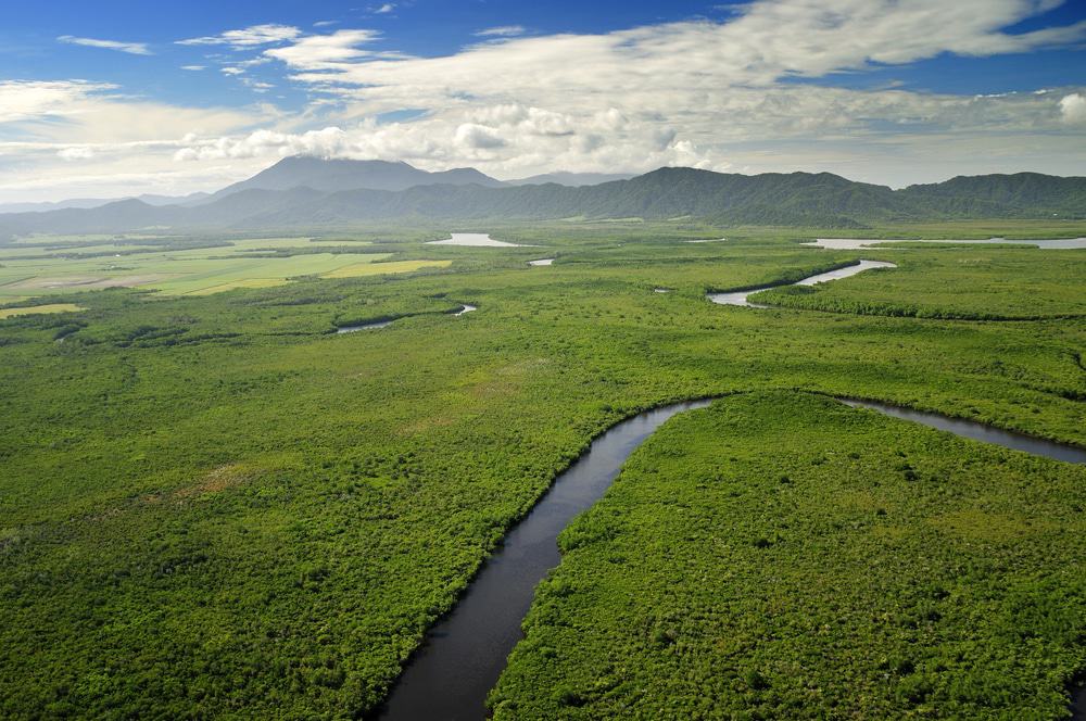 Daintree River