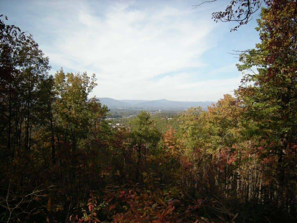 Buck Mountain Trail