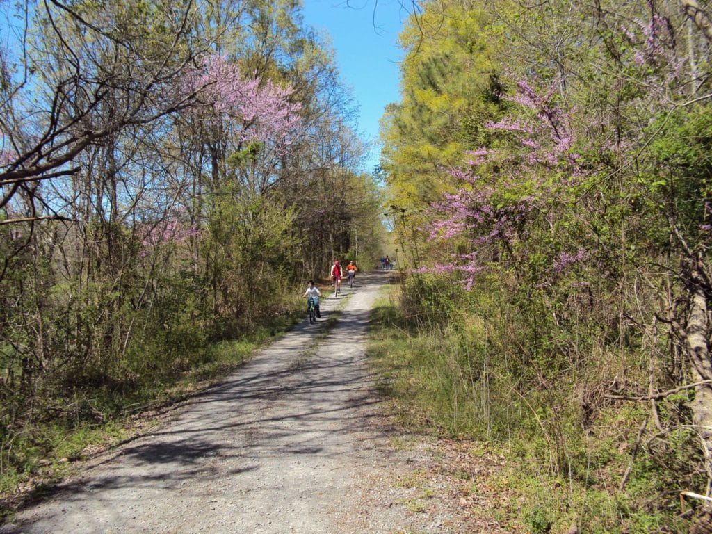 Richard Martin Trail