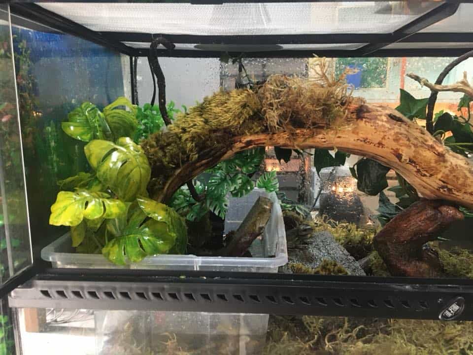 Valley Aquatics And Reptile Rescue