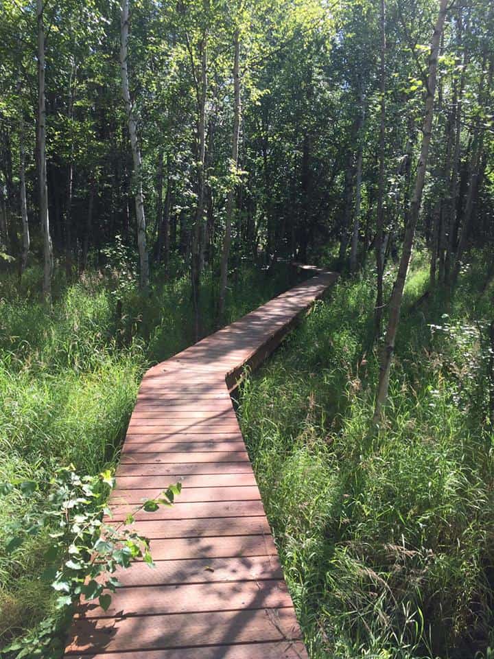Wasilla Creek Wetlands Trail