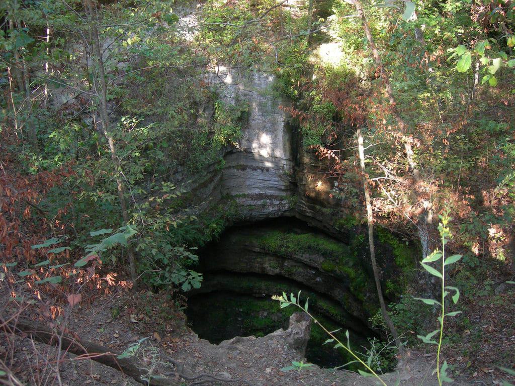 Neversink Pit, Fackler