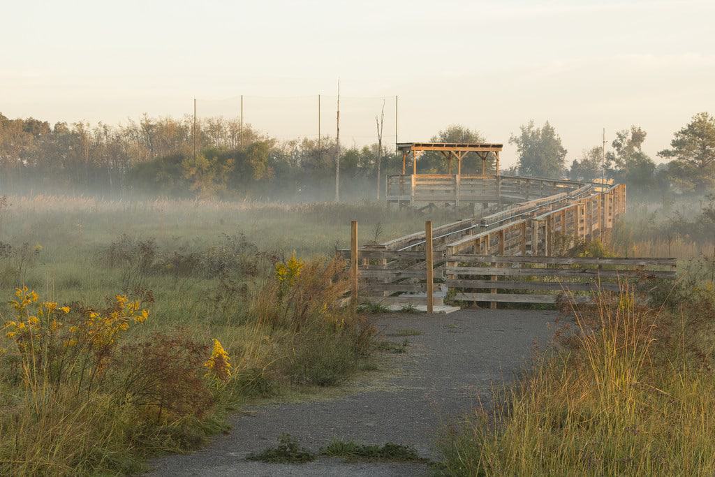 Limestone Park, Alabama