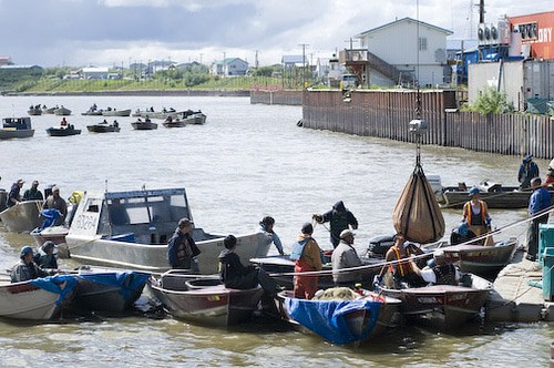Fishing, Bethel