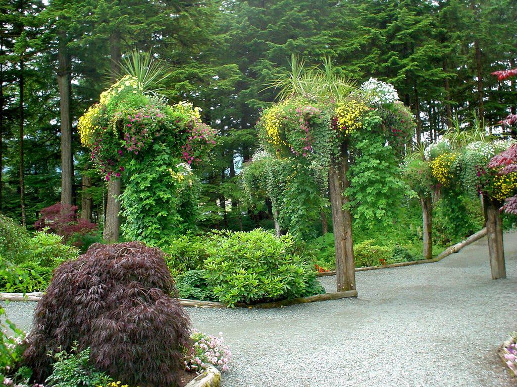 Glacier Gardens Rainforest Adventure