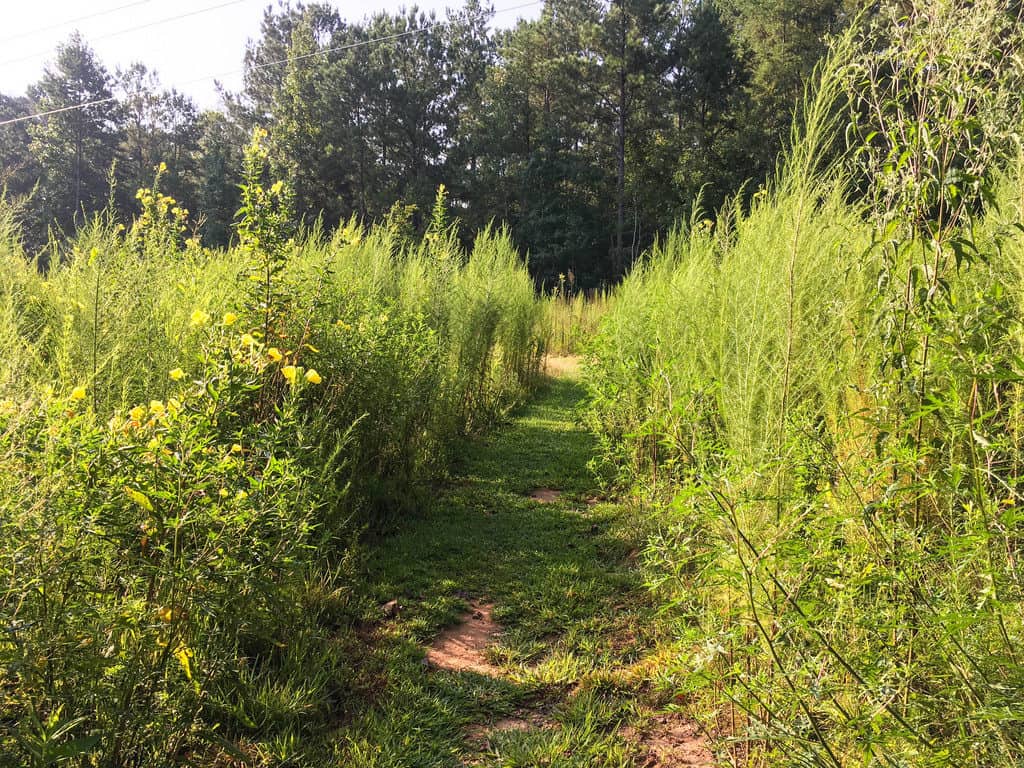 Louise Kreher Forest Ecology Preserve & Nature Centre