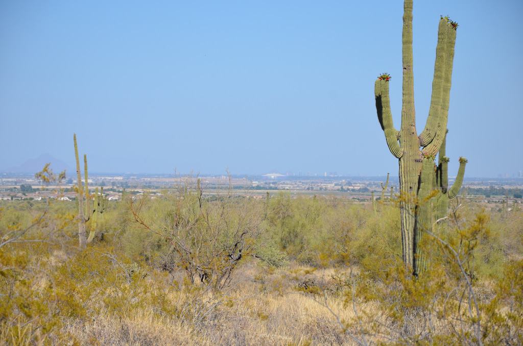 Estrella Mountain Regional Park