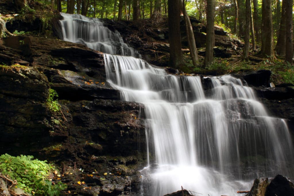 Gunn Brook Falls