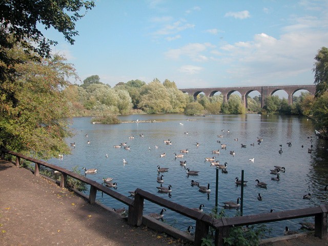  Reddish Vale Country Park