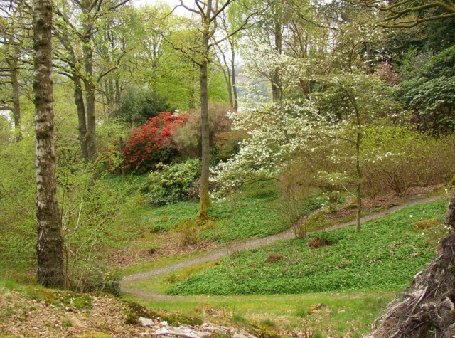 Stagshaw Garden