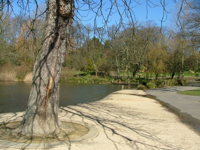 Ward Jackson Park