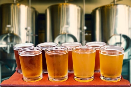 Denver Microbrew Tour