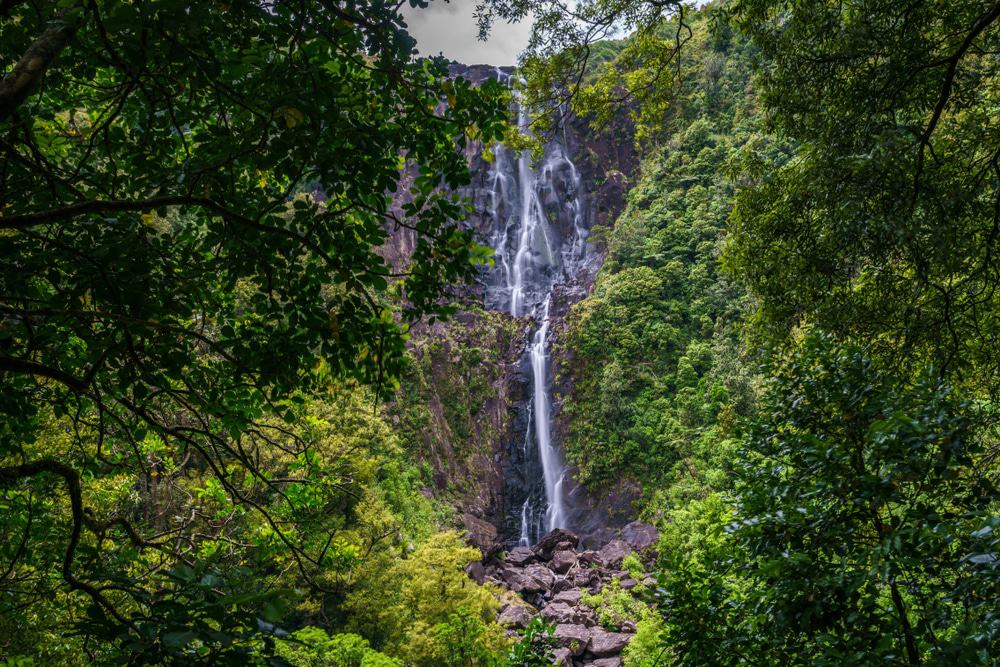 Wairere Falls, New Zealand