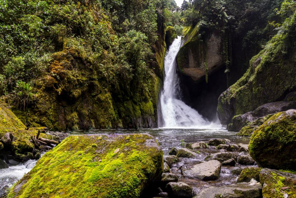 Savegre Waterfall, Costa Rica