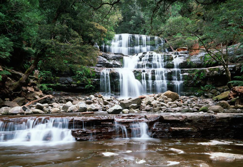 Liffey Falls, Australia