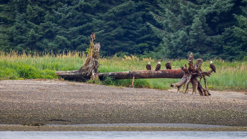 Eagle Beach, Juneau