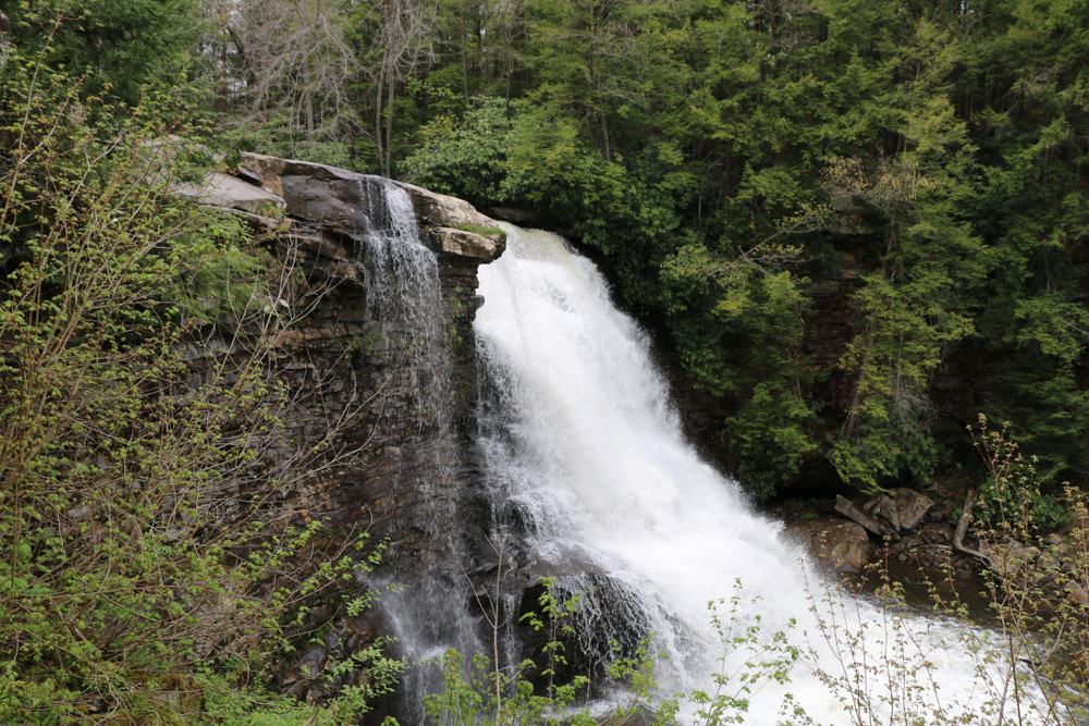 Swallow Falls State Park, Oakland, Maryland