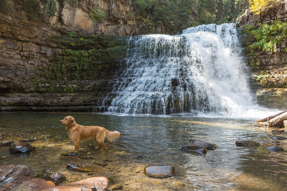 Ousel Falls, Montana