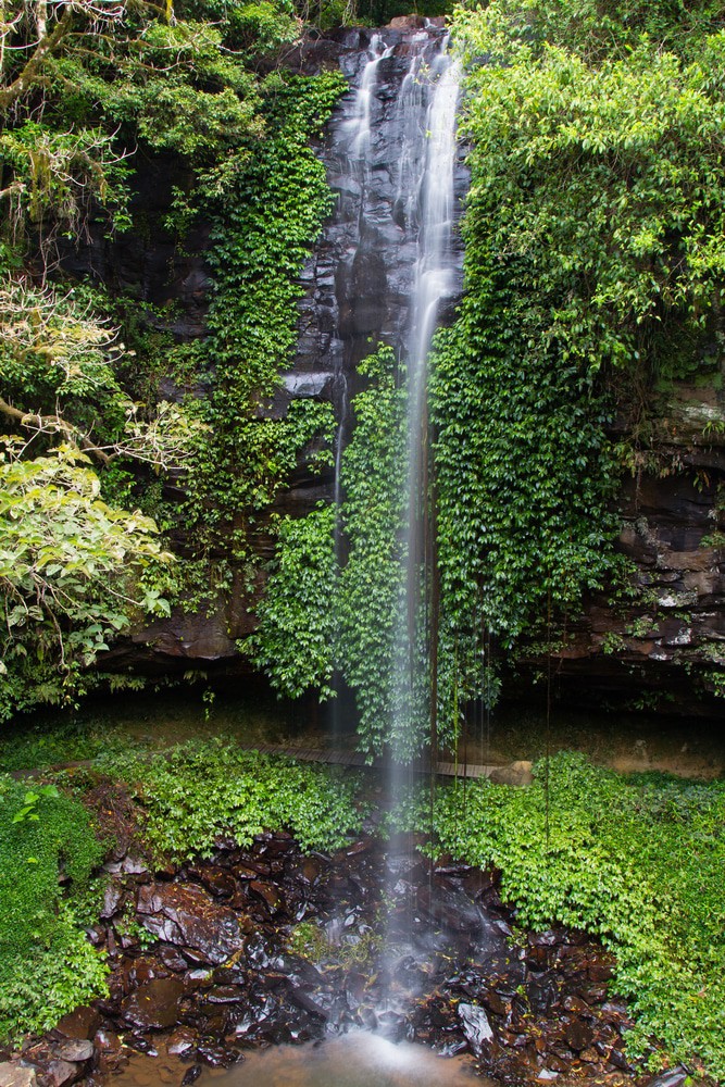 Crystal Shower Falls, Australia